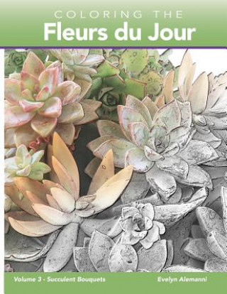 Kniha Coloring the Fleurs du Jour Volume 3: Succulent Bouquets Evelyn Alemanni