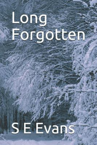 Libro Long Forgotten S E Evans
