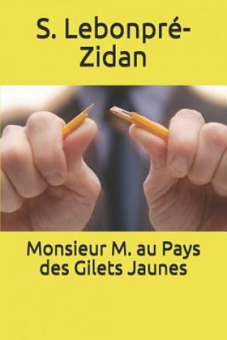 Könyv Monsieur M. au Pays des Gilets Jaunes Lebonpr