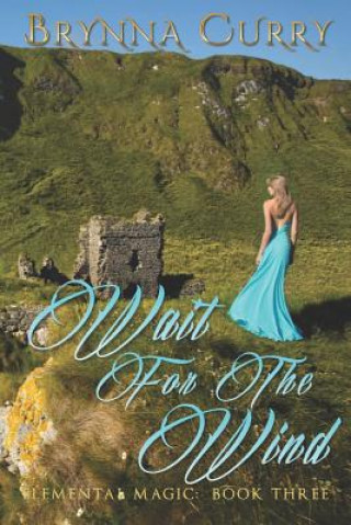 Könyv Wait for the Wind Brynna Curry