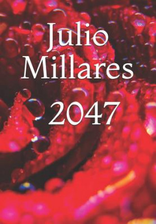 Knjiga 2047 Julio Millares