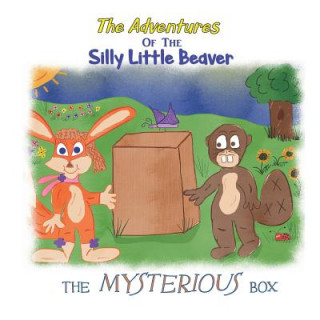 Boek The Mysterious Box Linnae Dalien