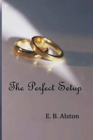 Βιβλίο The Perfect Setup E B Alston