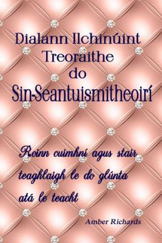 Könyv Dialann Ilchinuint Treoraithe do Sin-Seantuismitheoiri Amber Richards