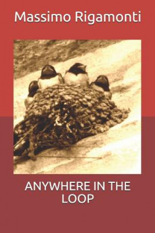Kniha Anywhere in the Loop Massimo Rigamonti