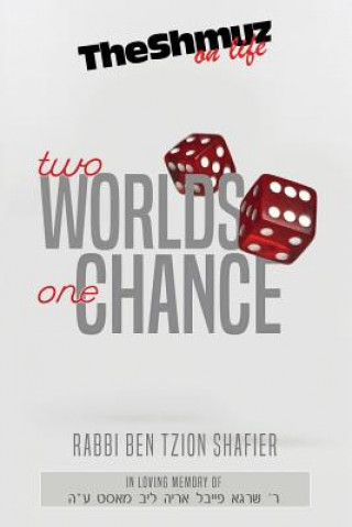 Kniha Two Worlds One Chance: The Shmuz on Life Rabbi Ben Tzion Shafier