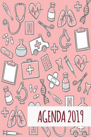 Kniha Agenda 2019: Agenda Mensual Y Semanal + Organizador I Cubierta Con Tema de Enfermeria I Enero 2019 a Diciembre 2019 6 X 9in Casa Poblana Journals