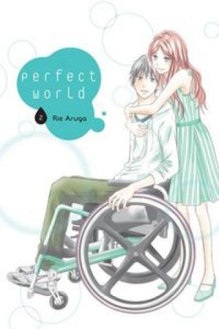Könyv Perfect World #02 Aruga Rie