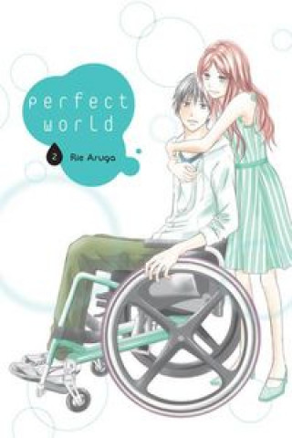 Książka Perfect World #02 Aruga Rie