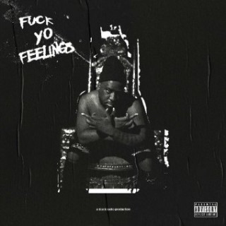 Audio Fuck Yo Feelings 