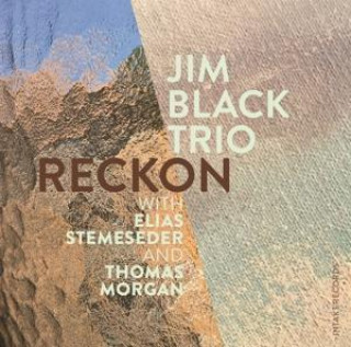 Zvok Reckon Jim Black Trio