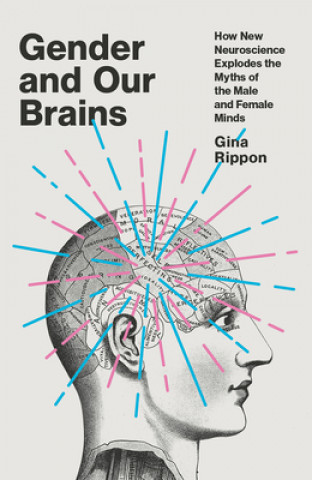 Kniha Gender and Our Brains: How New Neuroscience Explodes the Myths of the Male and Female Minds 