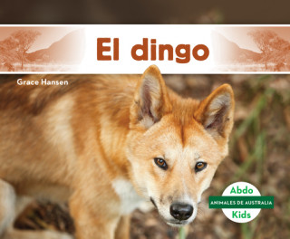 Knjiga El Dingo (Dingo) Grace Hansen