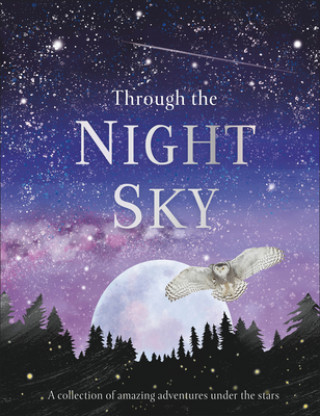 Kniha Through the Night Sky 