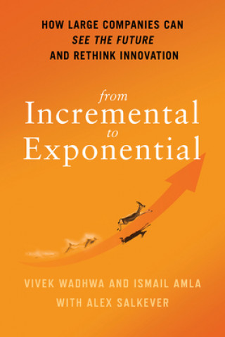 Книга From Incremental to Exponential Ismail Amla