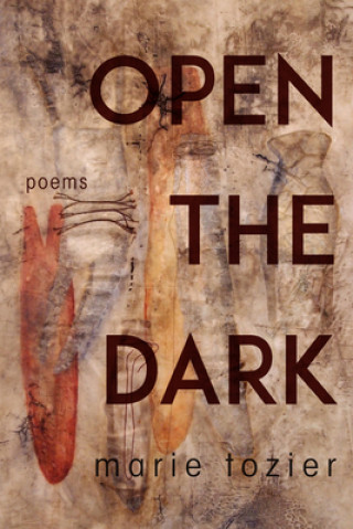 Boek Open the Dark Marie Tozier