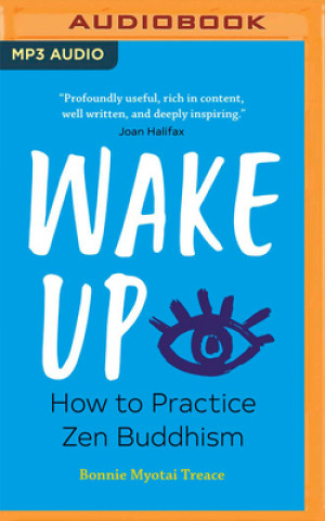Digital Wake Up: How to Practice Zen Buddhism Suzanne Freeman