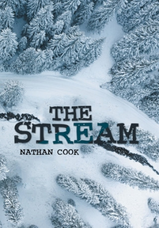 Knjiga Stream Nathan Cook