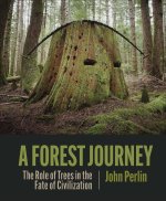 Könyv Forest Journey 