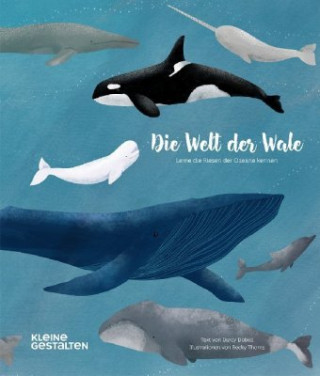 Kniha Die Welt der Wale Robert Klanten
