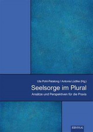 Kniha Seelsorge im Plural Antonia Lüdtke