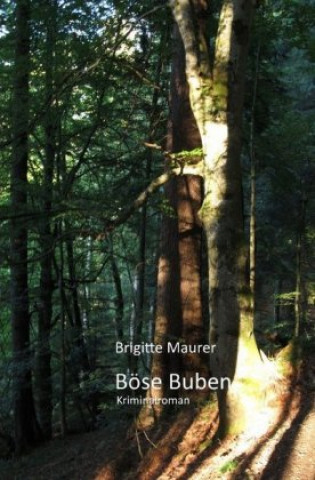 Buch Böse Buben Brigitte Maurer