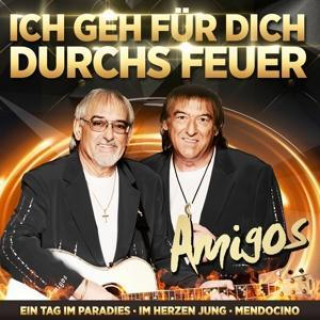 Audio Jahrtausendhits-Ich geh für dich durchs Feuer 