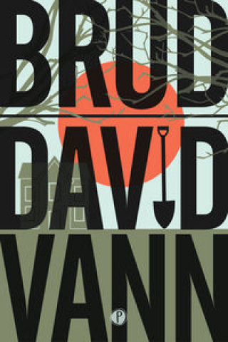 Könyv Brud Vann David