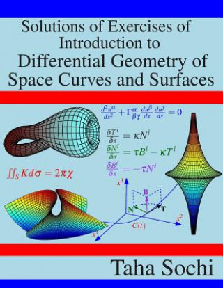 Könyv Solutions of Exercises of Introduction to Differential Geometry of Space Curves and Surfaces Taha Sochi
