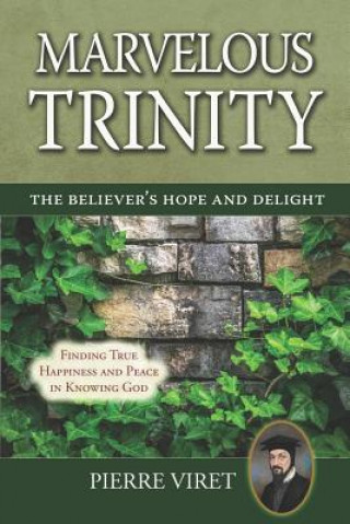 Książka Marvelous Trinity, the Believer's Hope and Delight: Finding True Happiness and Peace in Knowing God R A Sheats
