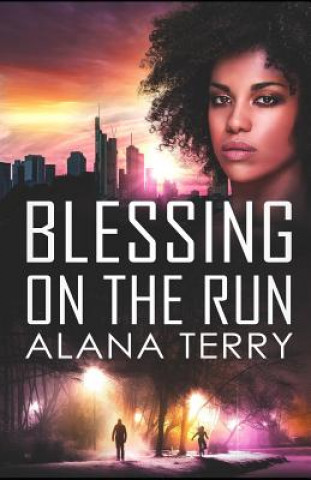 Buch Blessing on the Run Alana Terry