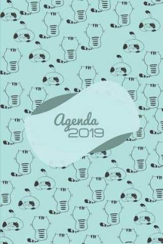 Kniha Agenda 2019: Agenda Mensual Y Semanal + Organizador I Cubierta Con Tema de Gatos Enero 2019 a Diciembre 2019 6 X 9in Casa Gato Journals