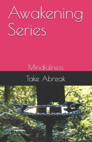 Kniha Awakening Series: Mindfulness Take Abreak