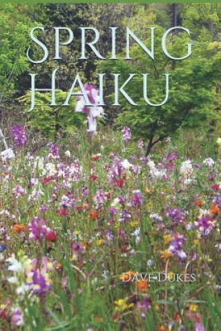 Knjiga Spring Haiku Dave Dukes
