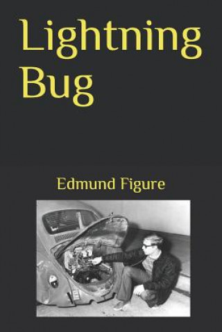 Buch Lightning Bug Edmund Figure