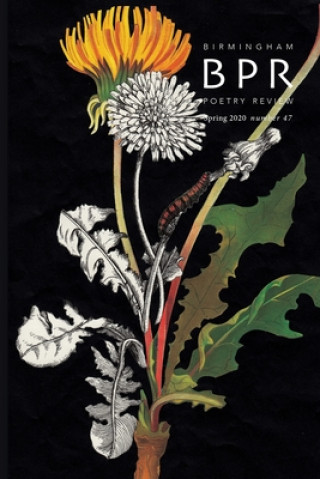 Knjiga Birmingham Poetry Review Adam Vines