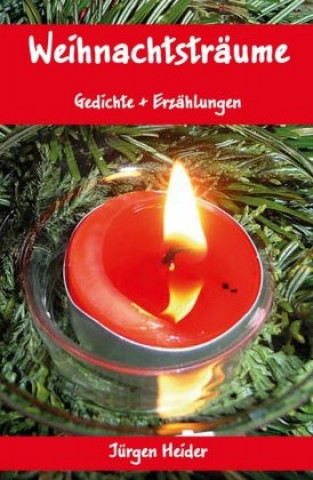 Buch Weihnachtstraume Sandra Vogel