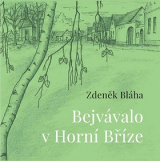 Könyv Bejvávalo v Horní Bříze Zdeněk Bláha