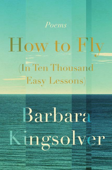 Kniha How to Fly (In Ten Thousand Easy Lessons) 