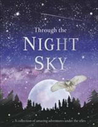 Книга Through the Night Sky DK