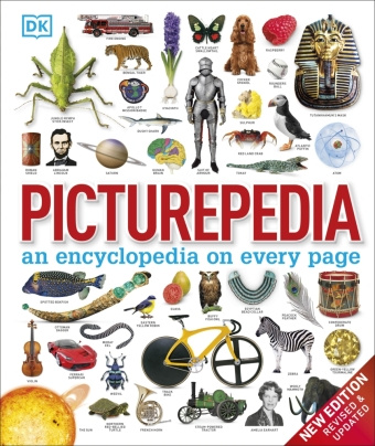 Kniha Picturepedia DK
