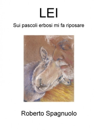 Kniha Lei Roberto Spagnuolo