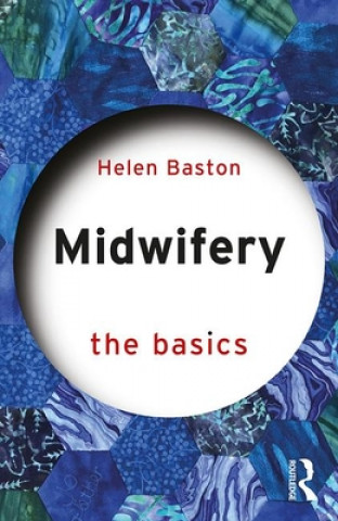 Buch Midwifery Baston