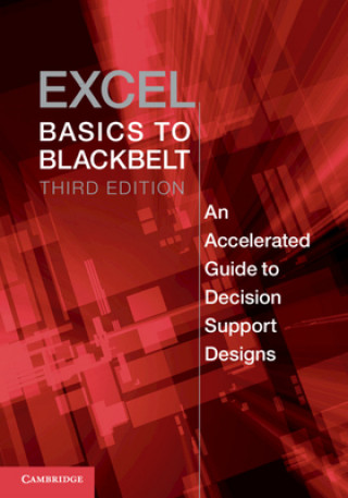 Knjiga Excel Basics to Blackbelt ELLIOT BENDOLY