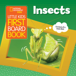 Книга Little Kids First Board Book Insects 