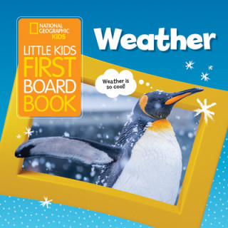 Książka Little Kids First Board Book Weather 