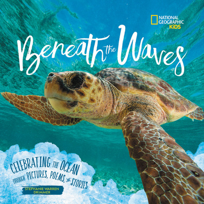 Book Beneath the Waves Drimmer