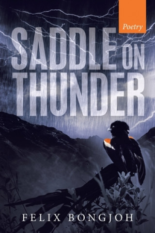 Buch Saddle on Thunder Felix Bongjoh