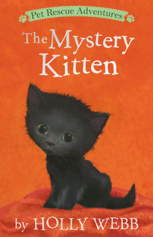 Buch Mystery Kitten Holly Webb