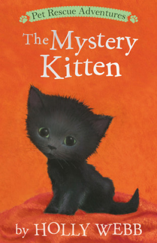 Kniha Mystery Kitten Holly Webb